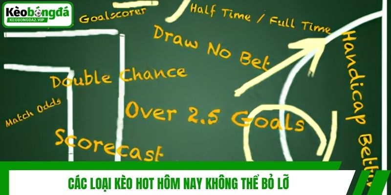 Các loại kèo hot hôm nay không thể bỏ lỡ