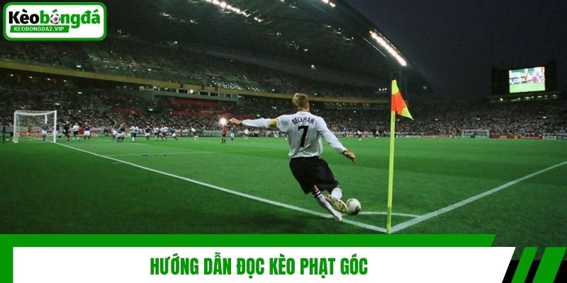 Hướng dẫn đọc kèo phạt góc