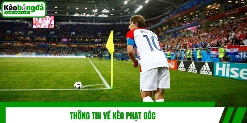 thong tin ve keo phat goc